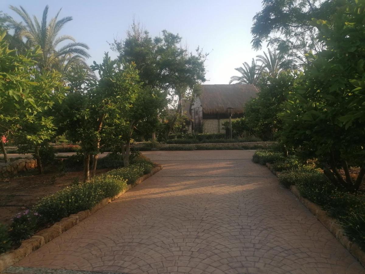 Laguava Resort Ar Rumaylah Exteriör bild